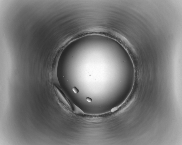 X0000116160833200911301559