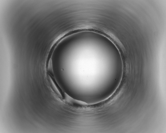 X0000116160834200911301559