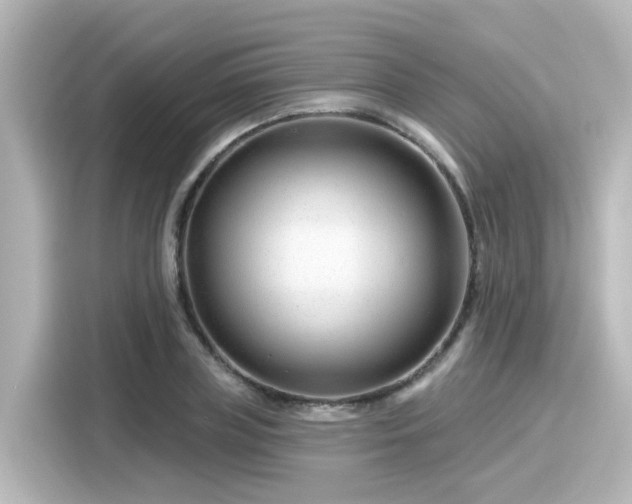 X0000116160835200911301559