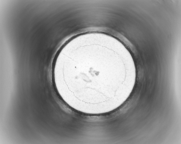 X0000116160836200911301559