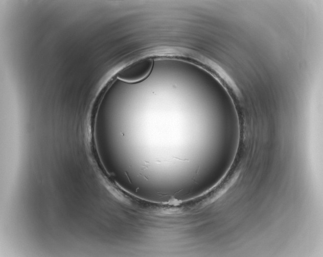 X0000116160837200911301559