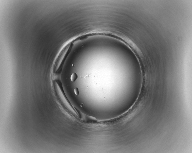 X0000116160838200911301559