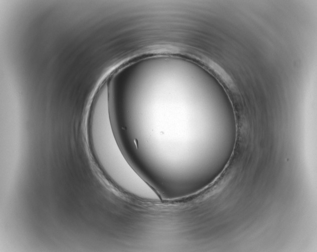 X0000116160840200911301559