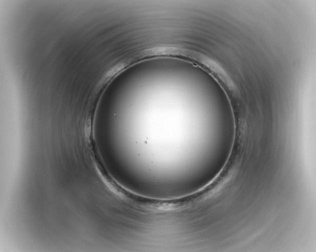 X0000116160841200911301559