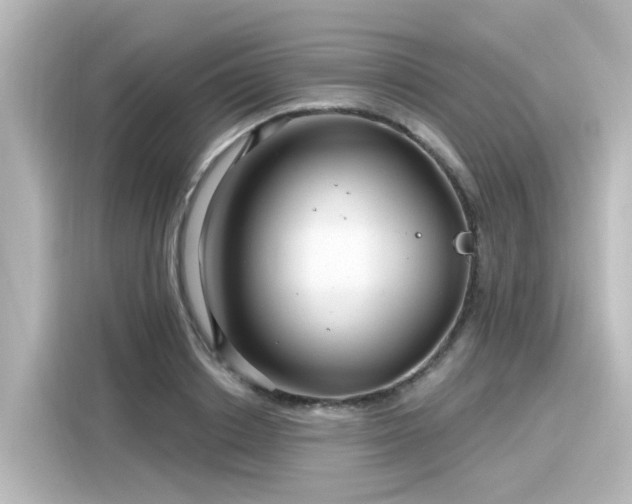 X0000116160842200911301559