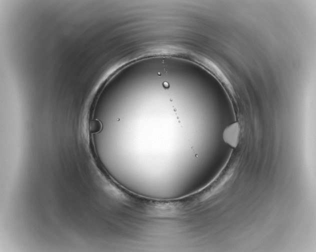 X0000116160843200911301559