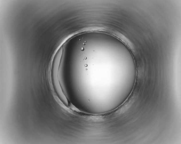 X0000116160844200911301559