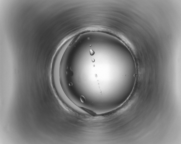 X0000116160845200911301559