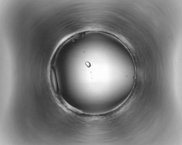 X0000116160846200911301559