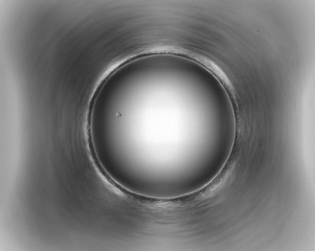 X0000116160847200911301559