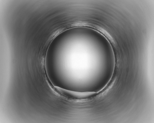 X0000116160849200911301559