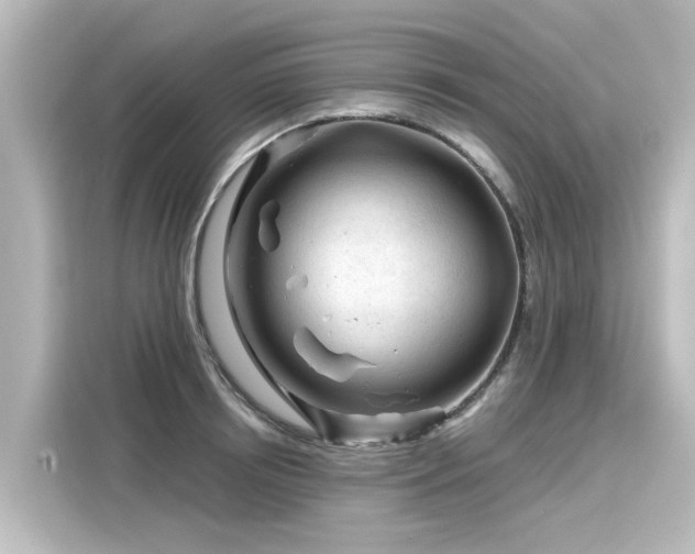 X0000116160850200911301559