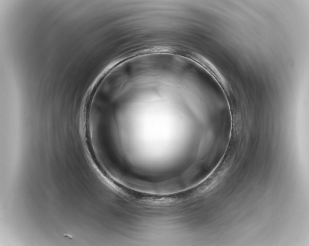 X0000116160851200911301559