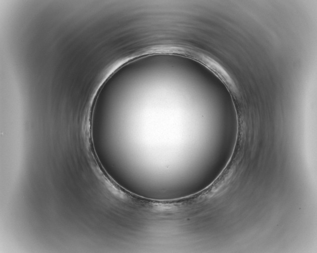 X0000116160852200911301559