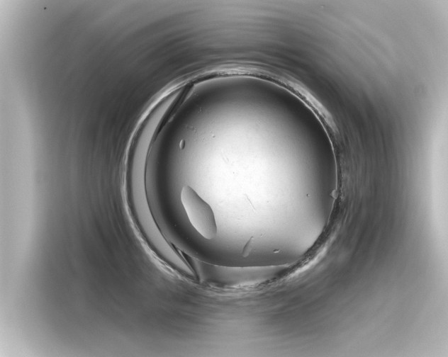 X0000116160853200911301559