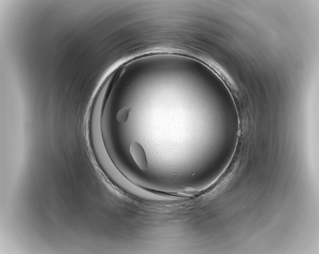 X0000116160854200911301559