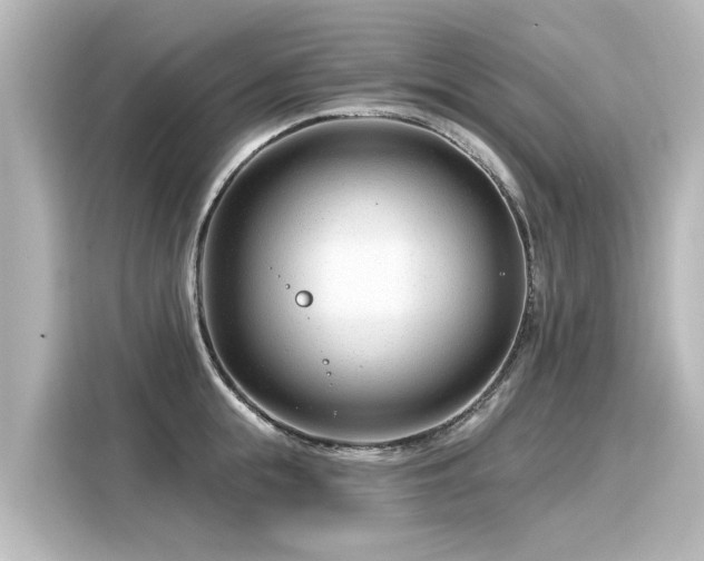 X0000116160855200911301600