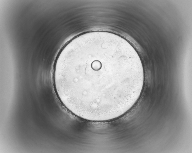 X0000116160856200911301600