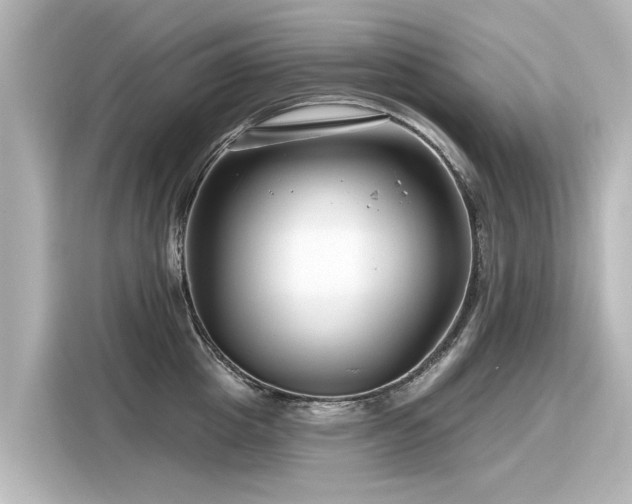 X0000116160857200911301600