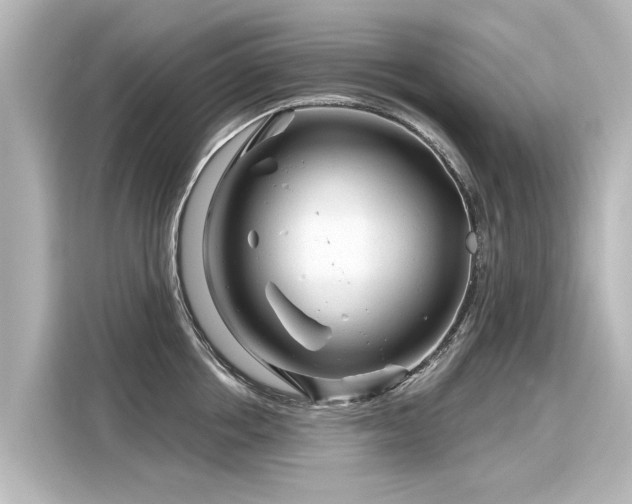 X0000116160858200911301600