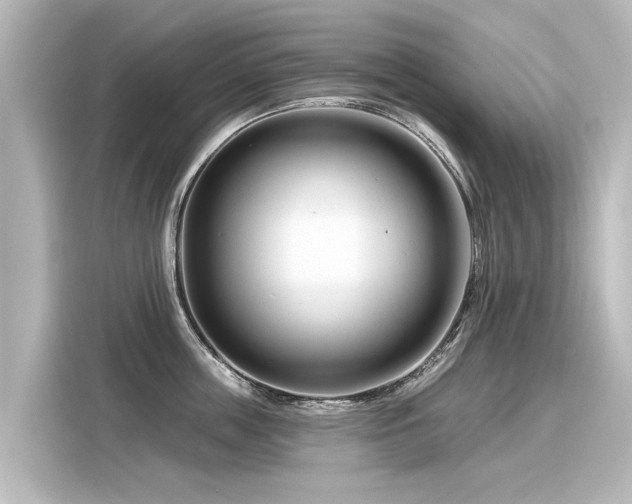 X0000116160859200911301600