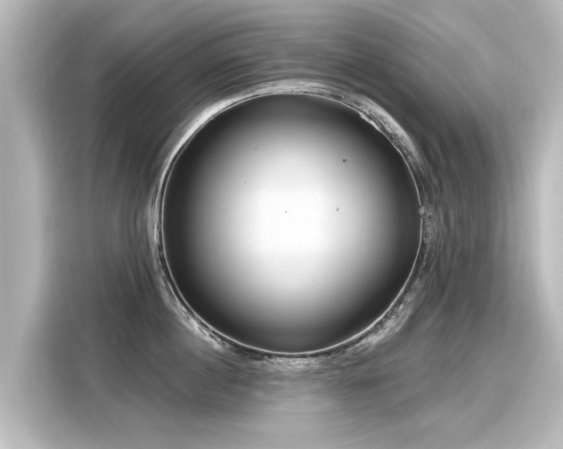 X0000116160860200911301600