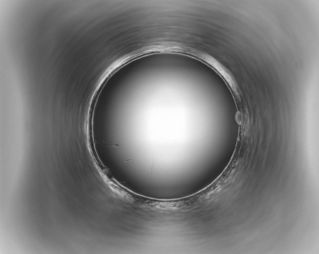 X0000116160861200911301600