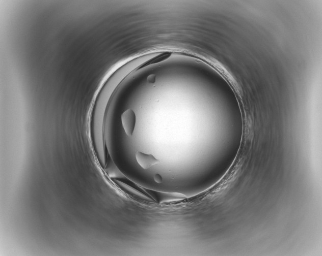 X0000116160862200911301600