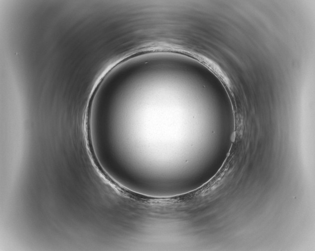 X0000116160863200911301600