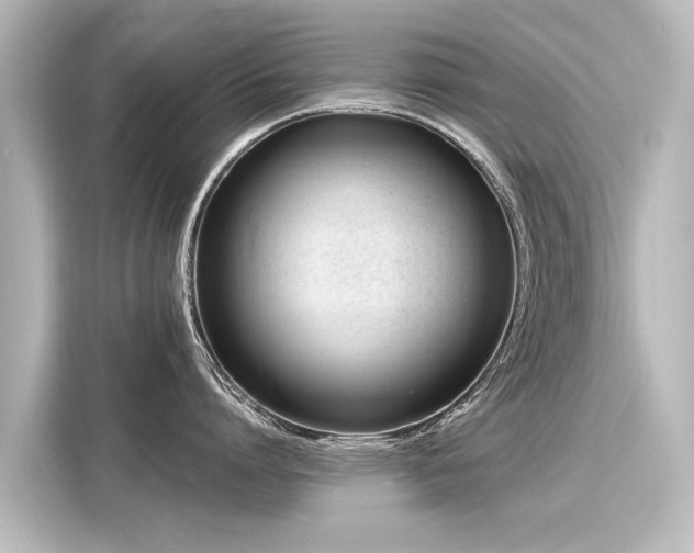 X0000116160864200911301600