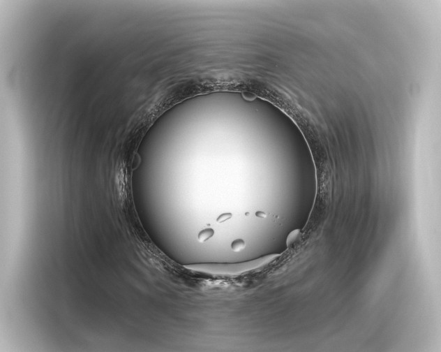 X0000116160866200911301559