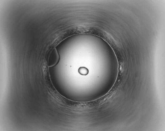 X0000116160867200911301559