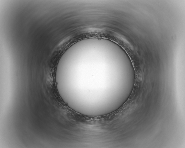 X0000116160869200911301559