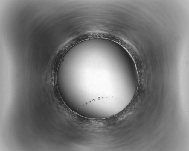 X0000116160870200911301559