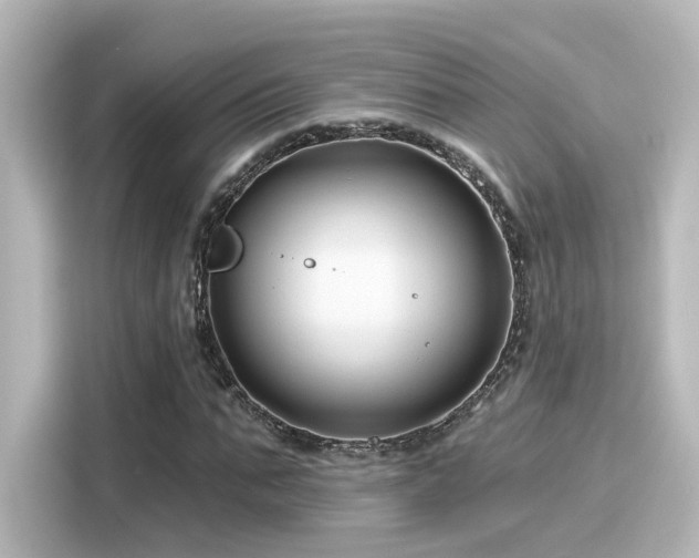 X0000116160871200911301559