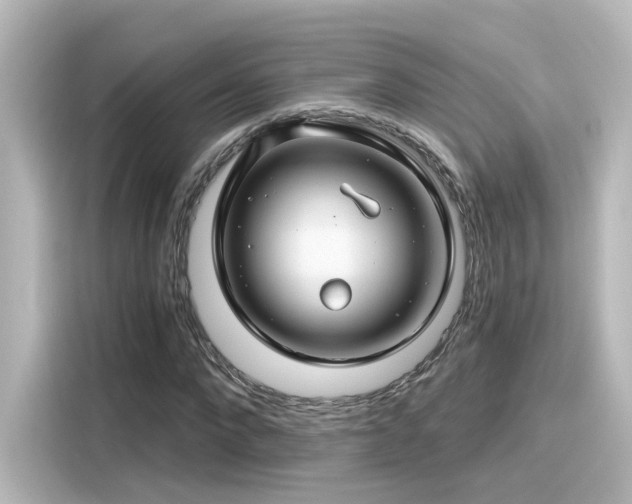 X0000116160872200911301559