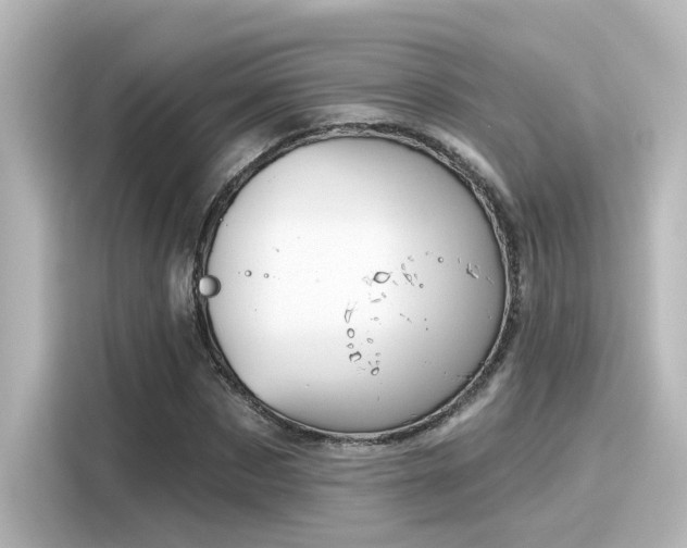 X0000116160873200911301559