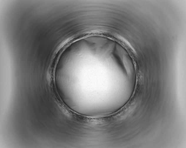 X0000116160874200911301559