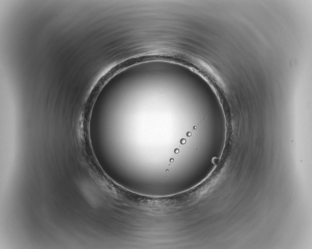 X0000116160875200911301559