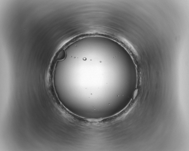 X0000116160876200911301559