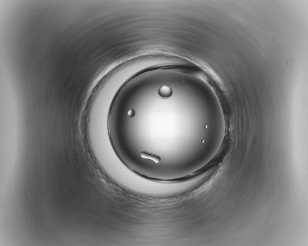 X0000116160877200911301559