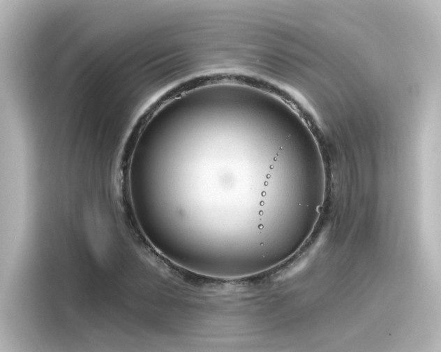 X0000116160879200911301559