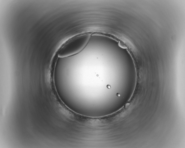 X0000116160880200911301559