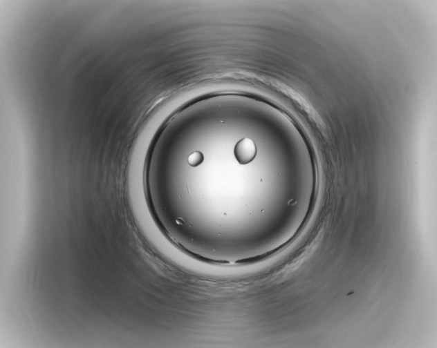 X0000116160881200911301559