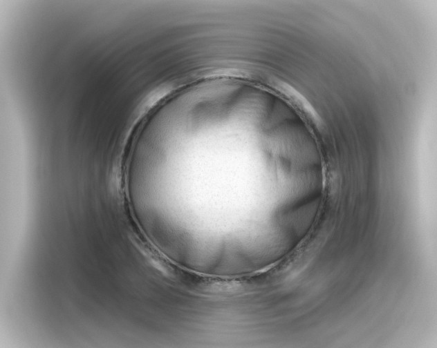 X0000116160882200911301559