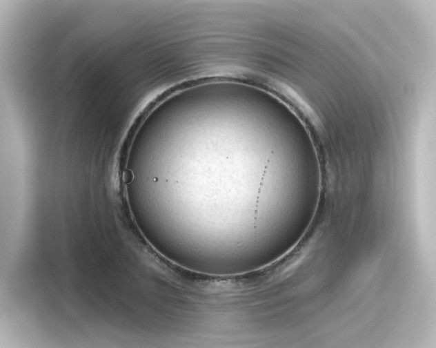 X0000116160883200911301559