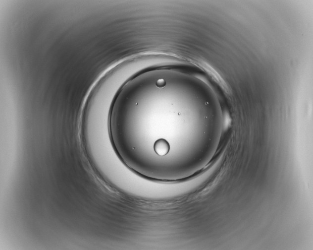 X0000116160884200911301559