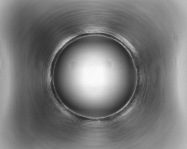 X0000116160885200911301559