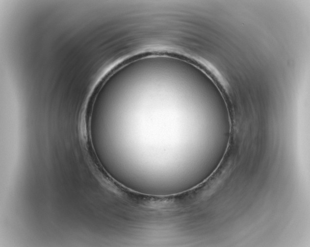 X0000116160887200911301559