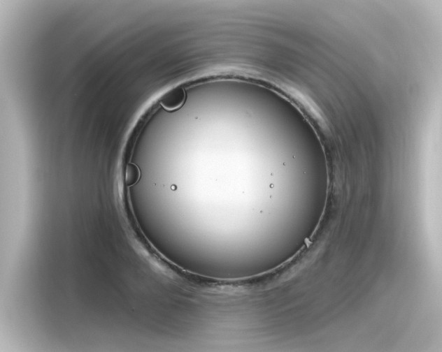 X0000116160888200911301559